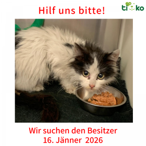 Fundtiere FB Fundtiere FB